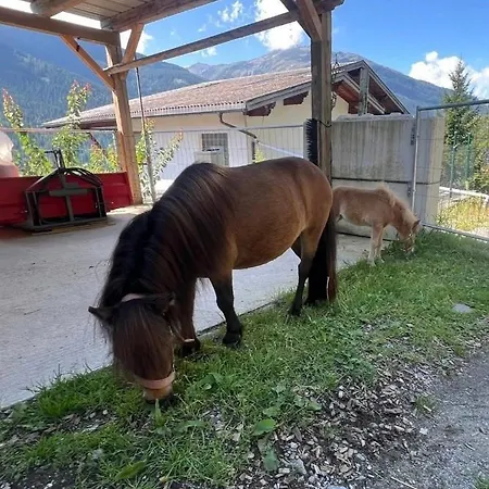 Apartment Apart-bergheim *