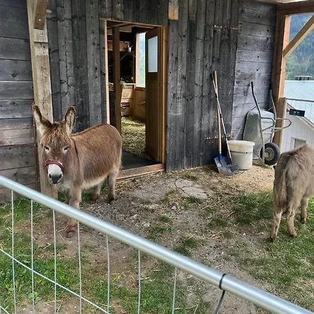 Apartment Apart-bergheim