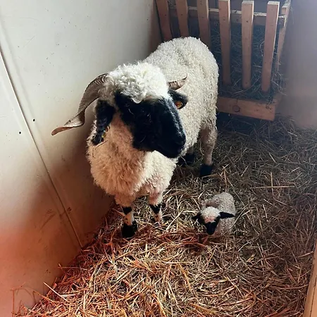 Apartment Apart-bergheim Fließ