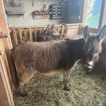 Apart-bergheim Fließ