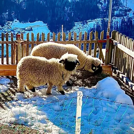 Apart-bergheim Fliess