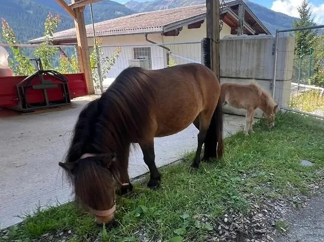 Apartment Apart-bergheim *