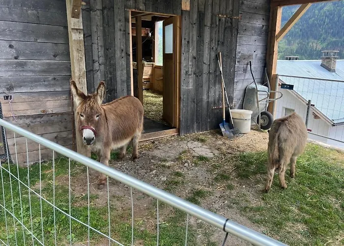 Apartment Apart-bergheim