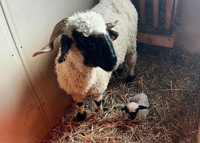 Apartment Apart-bergheim Fliess