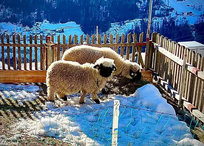 Apart-bergheim Fliess